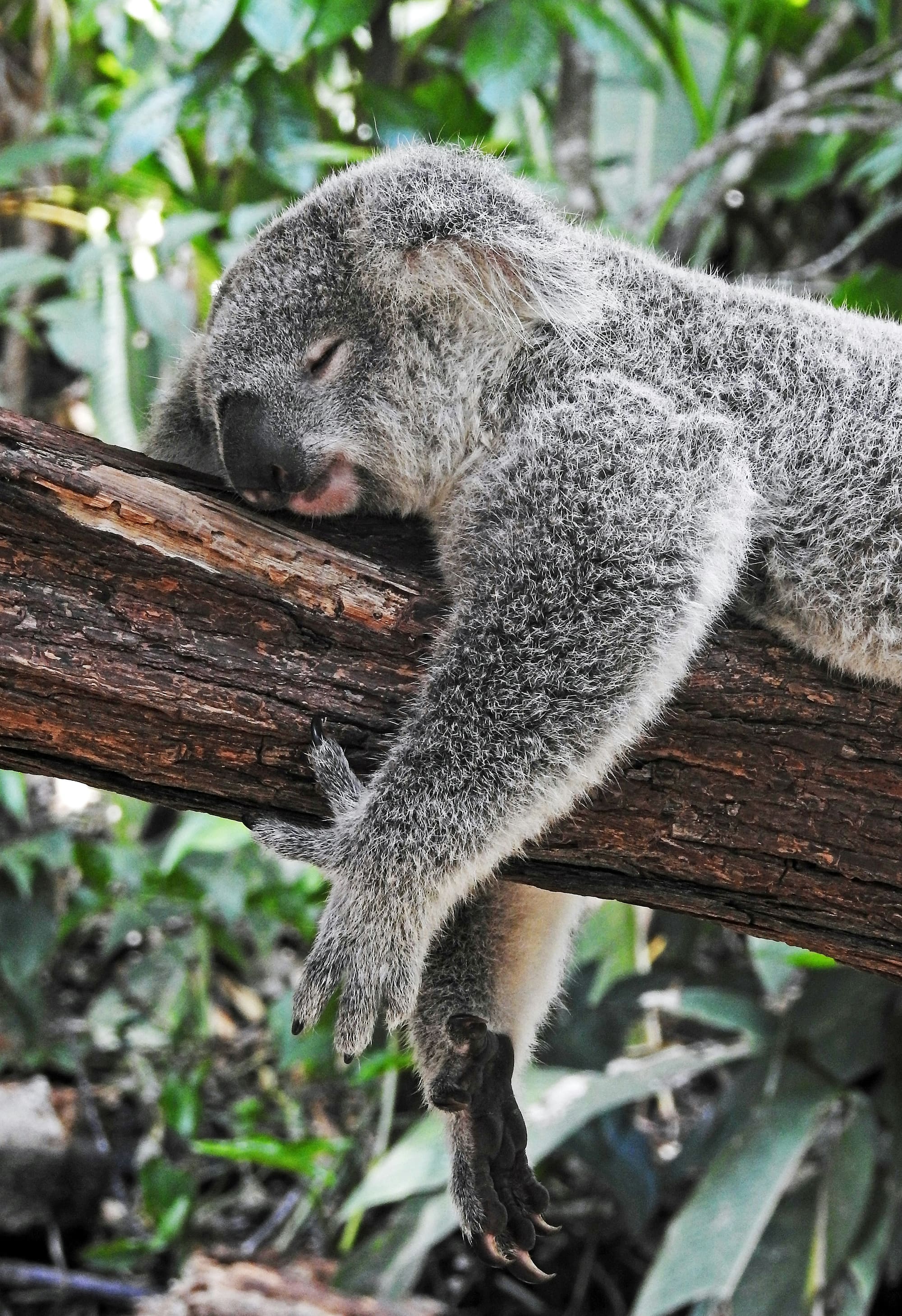 Peaceful sleep environment